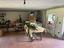 Immagine 26