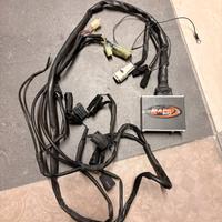 pezzi kawasaki ninja zx6r dal 2009 in poi