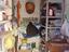 Immagine 27
