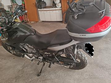 Honda Transalp 700 anno 2011