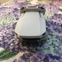 Dji mini 2 se in garanzia