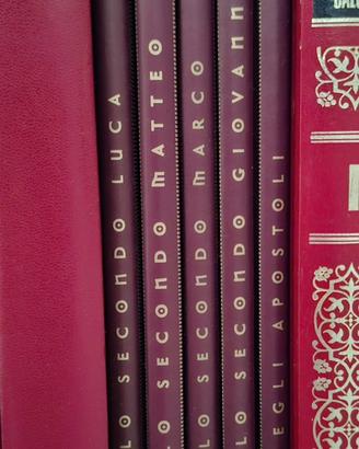 Vangeli e atti degli apostoli collezione