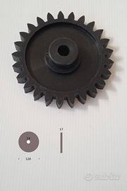 Ruota dentata di pigiatrice-pigiadiraspatrice