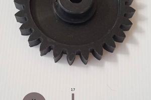 Ruota dentata di pigiatrice-pigiadiraspatrice