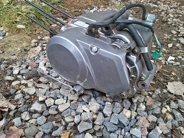 Pezzi ricambio pit bike 