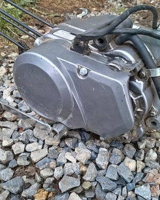 Pezzi ricambio pit bike 