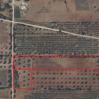 Vendita terreno agricolo di 15.000 mq