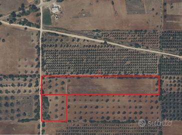 Vendita terreno agricolo di 15.000 mq
