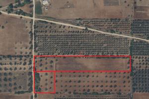 Vendita terreno agricolo di 15.000 mq