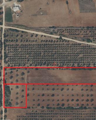 Vendita terreno agricolo di 15.000 mq