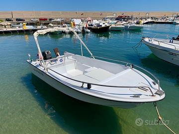 Barca 4.90 M con motore 40 CV e carrello