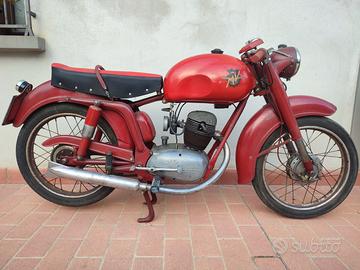 MV Agusta Turismo Rapido del 1955