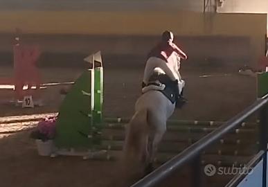 Cavallo salto dressage