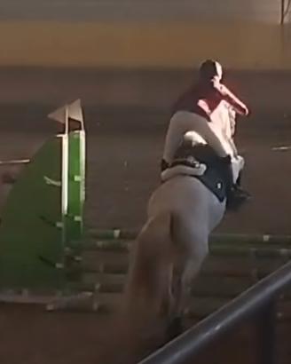 Cavallo salto dressage