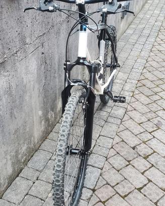 RAMPICHINO
