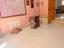 Immagine 9
