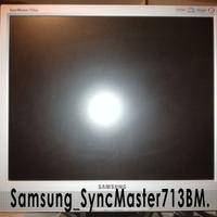 Monitor LCD Samsung SyncMaster713BM - 17'