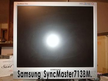 Monitor LCD Samsung SyncMaster713BM - 17'