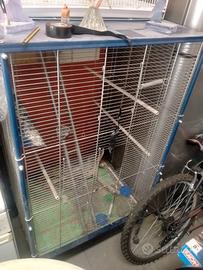 gabbia per pappagalli 