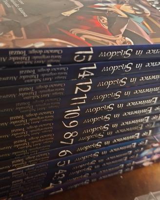 The eminance in shadow 