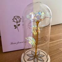 Rosa eterna con cupola di vetro e luci led