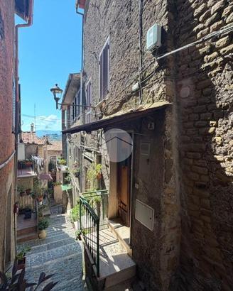 3 LOCALI A PALIANO