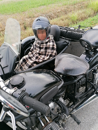 Sidecar URAL 650cc