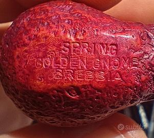 Pipa Brebbia Golden Gnome Spring 6001 Rocciata New