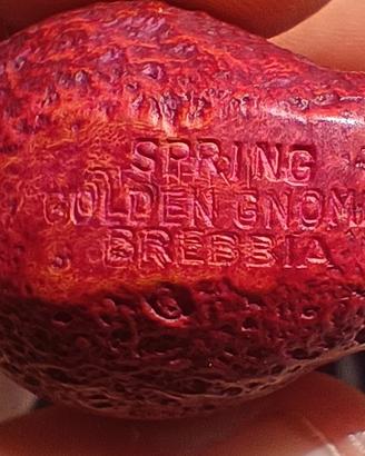 Pipa Brebbia Golden Gnome Spring 6001 Rocciata New