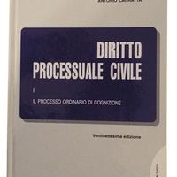 Diritto Processuale Civile II – 27ª Edizione