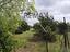 Immagine 26
