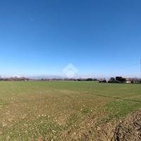 TER. AGRICOLO A TREZZO SULL'ADDA