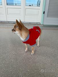 Felpa rossa per cani di taglia piccola