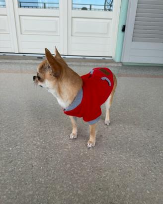 Felpa rossa per cani di taglia piccola