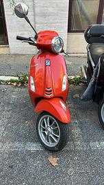 Splendida vespa 50