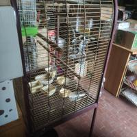gabbia per pappagalli 