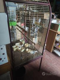 gabbia per pappagalli 