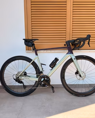 Focus izalco max 8.8 2025