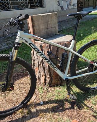 MTB Corratec X-Vert Elite 29 tg L garanzia 3 anni