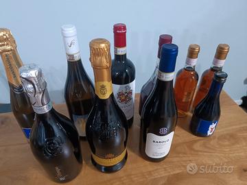 10 bottiglie speciali di vino 