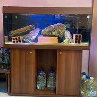 Acquario ferplast Dubai 120 + mobile