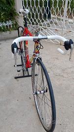 Colnago 