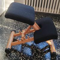 Sedia Ergonomica Varer