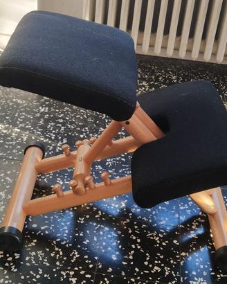 Sedia Ergonomica Varer