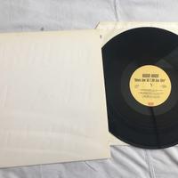 Vasco Rossi Vinili 33 giri