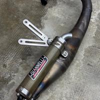 Giannelli reverse Minarelli verticalr