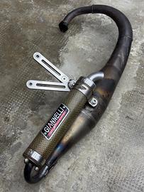 Giannelli reverse Minarelli verticalr