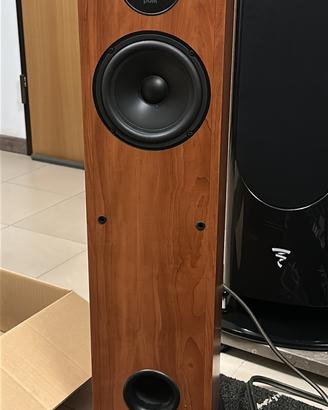 Diffusori polk audio e heco