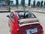 Immagine 16