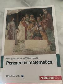 Pensare in matematica